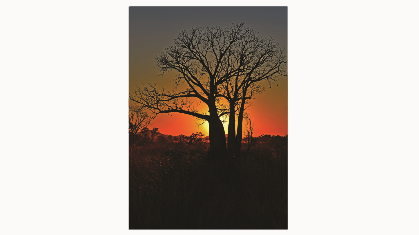 A2 Art Print - Wayne Quilliam