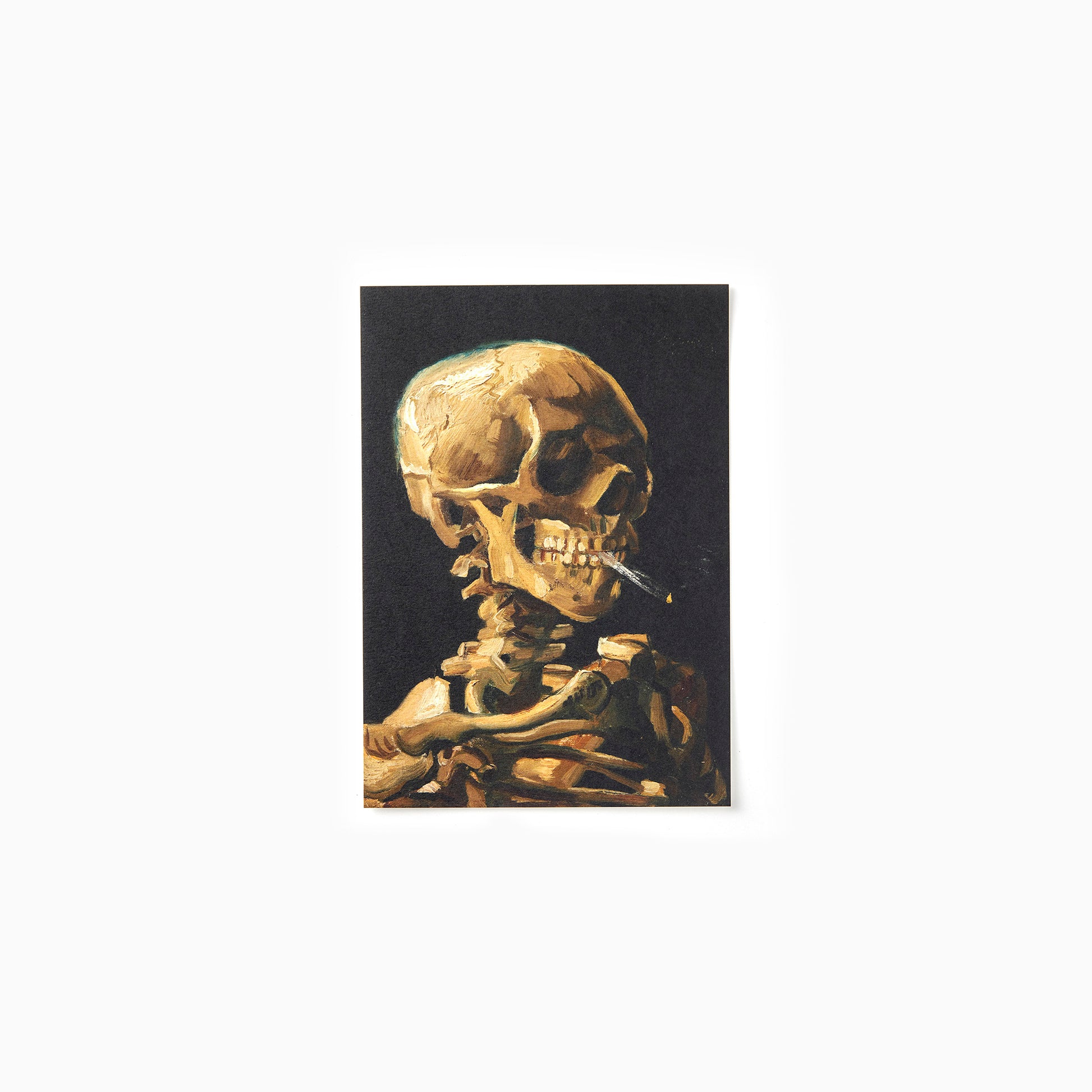 postcard with skull print