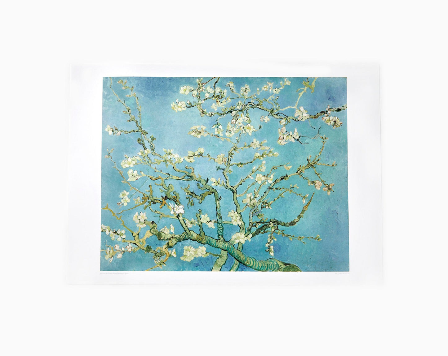 art print with almond blossom image